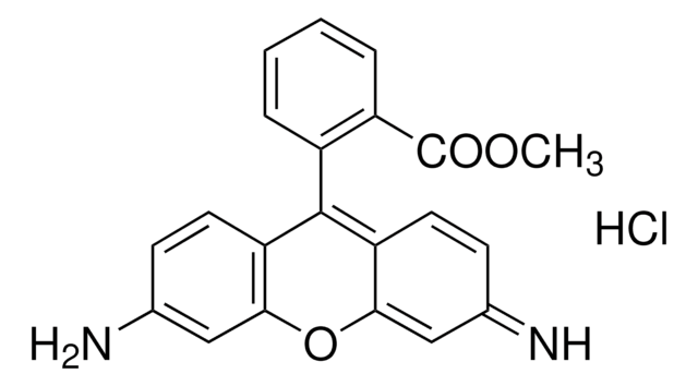 Rhodamine 123