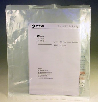 Anti-GST Antibody