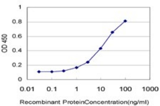 Monoclonal Anti-DYM antibody produced in