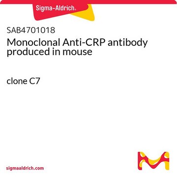 Monoclonal Anti-CRP antibody produced in
