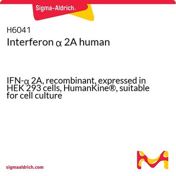 Interferon ? 2A human