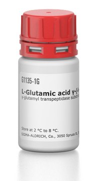 ?-Glutamic acid ?-(4-nitroanilide)