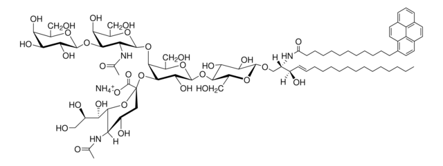 12:0 pyrene GM1 (synthetic)