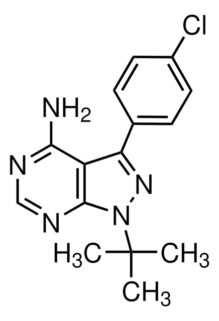 PP2
