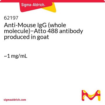 Anti-Mouse IgG (whole molecule)?Atto 488