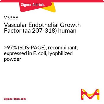 Vascular Endothelial Growth Factor (aa
