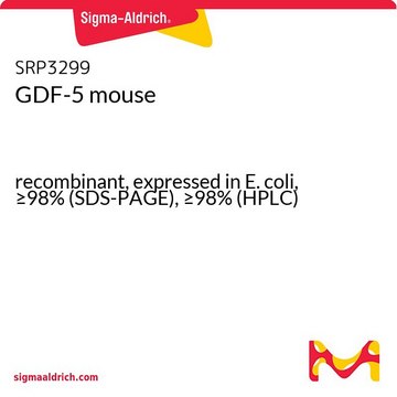 GDF-5 mouse