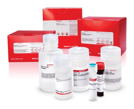 Glutathione Peroxidase Assay Kit