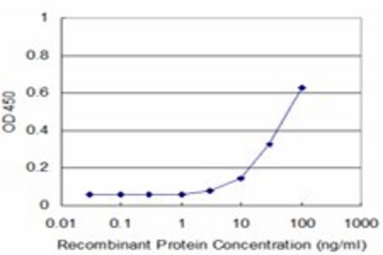 Monoclonal Anti-PCDHA12 antibody produced in