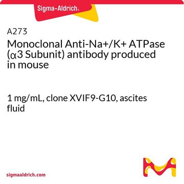 Monoclonal Anti-Na?/K? ATPase (?3 Subunit)