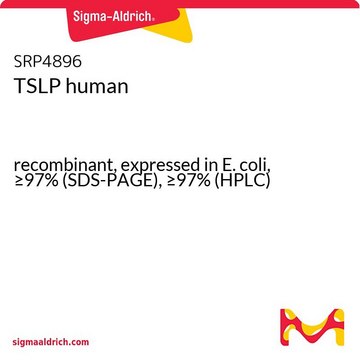 TSLP human