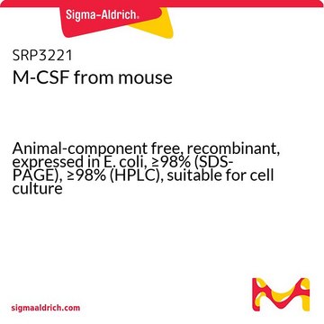 M-CSF from mouse
