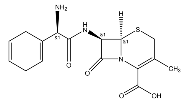 Cefradine