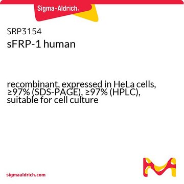 sFRP-1 human