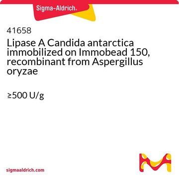 Lipase A Candida antarctica immobilized
