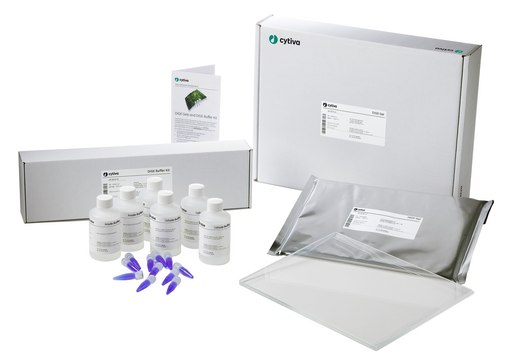 DIGE Buffer Kit