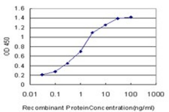 Monoclonal Anti-MAGI2 antibody produced in