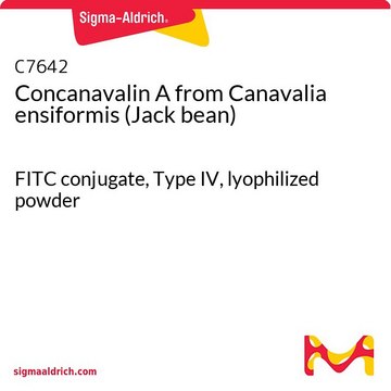 Concanavalin A from Canavalia ensiformis