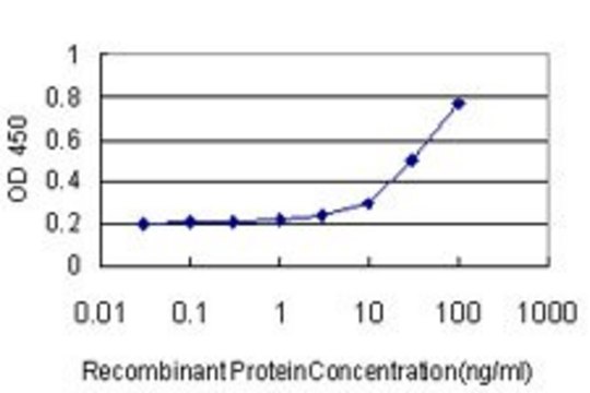 Monoclonal Anti-B3GALT2 antibody produced in