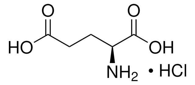 L-GLUTAMIC ACID HYDROCHLORIDE, UNITED ST