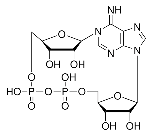 Cyclic adenosine diphosphate-ribose