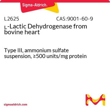 ?-Lactic Dehydrogenase from bovine heart