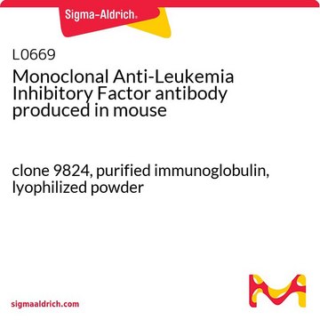 Monoclonal Anti-Leukemia Inhibitory Factor antibody