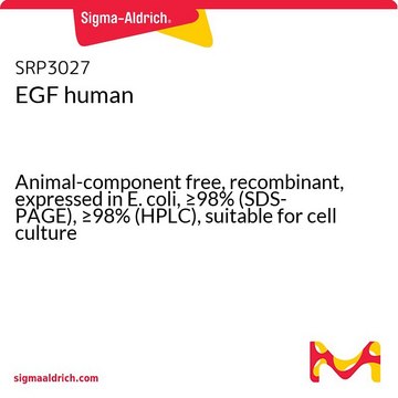 EGF human