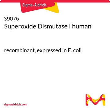 Superoxide Dismutase I human