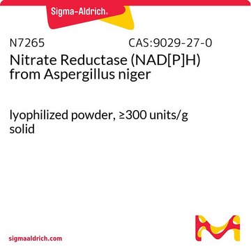 Nitrate Reductase (NAD[P]H) from Aspergillus