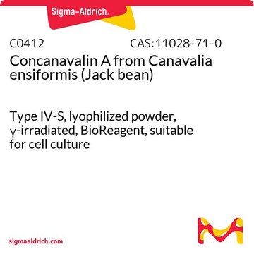 Concanavalin A from Canavalia ensiformis