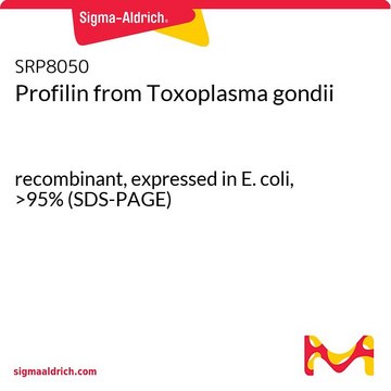 Profilin from Toxoplasma gondii