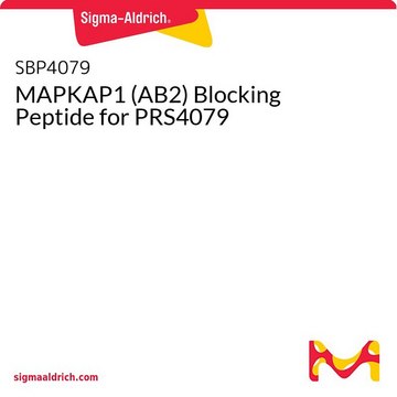MAPKAP1 (AB2) Blocking Peptide for