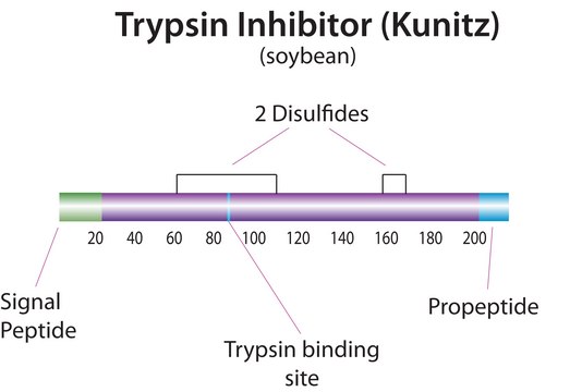 Trypsin inhibitor from Glycine max