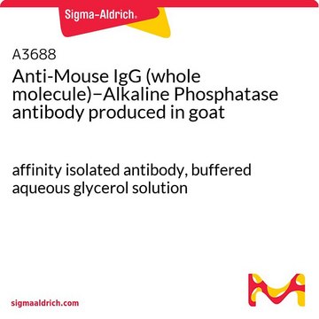 Anti-Mouse IgG (whole molecule)?Alkaline Phosphatase