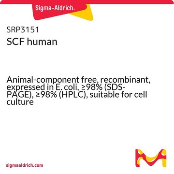 SCF human