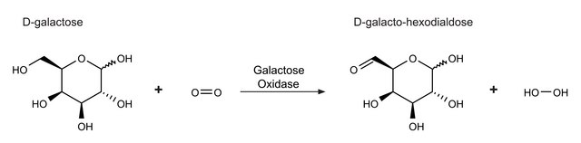 Galactose Oxidase from Dactylium dendroides