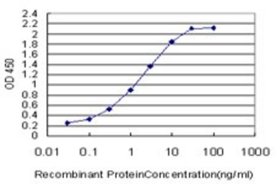 Monoclonal Anti-ORC3L antibody produced in