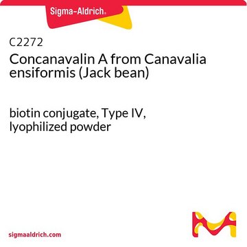 Concanavalin A from Canavalia ensiformis