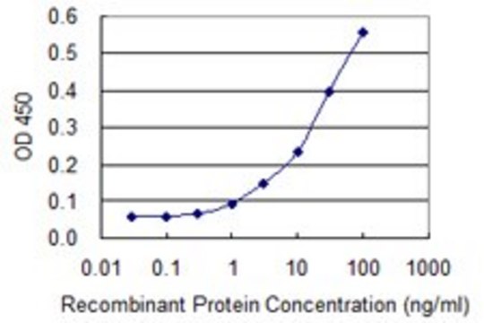 Monoclonal Anti-ICT1 antibody produced in