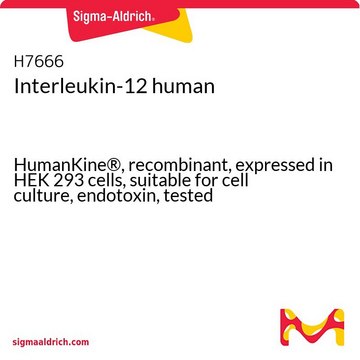 Interleukin-12 human