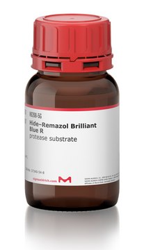 Hide–Remazol Brilliant Blue R