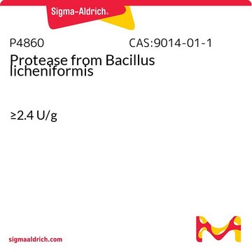 Protease from Bacillus licheniformis