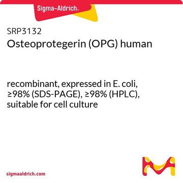 Osteoprotegerin (OPG) human
