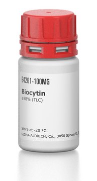 Biocytin