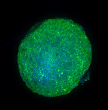 Visikol® HISTO™ Penetration Buffer