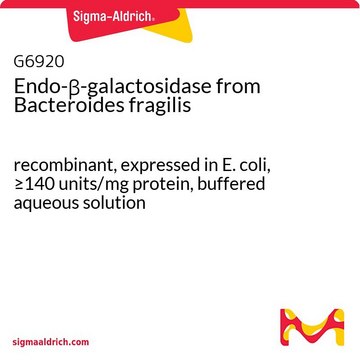 Endo-?-galactosidase from Bacteroides fragilis