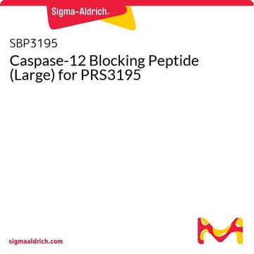 Caspase-12 Blocking Peptide (Large) for