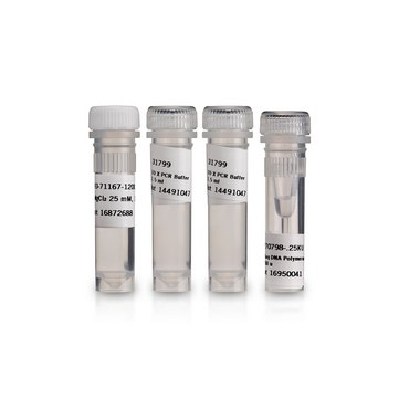 Recombinant Taq DNA Polymerase