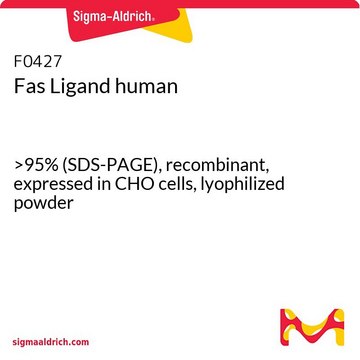 Fas Ligand human